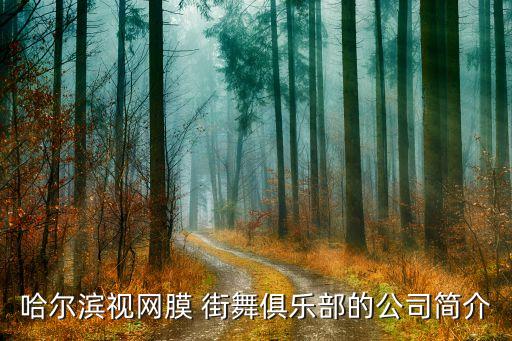 哈尔滨视网膜 街舞俱乐部的公司简介