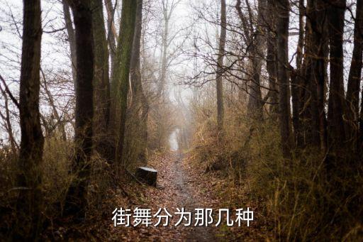  街舞分为那几种
