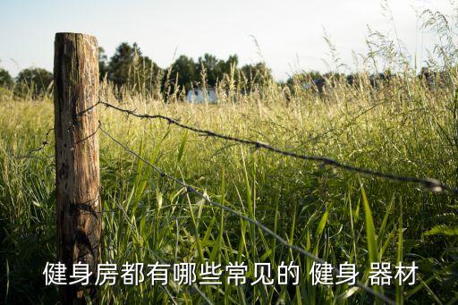  健身房都有哪些常见的 健身 器材