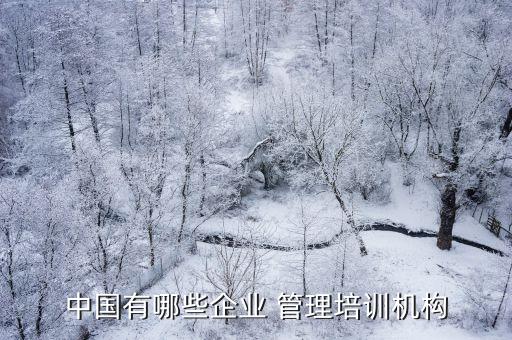 中国有哪些企业 管理培训机构