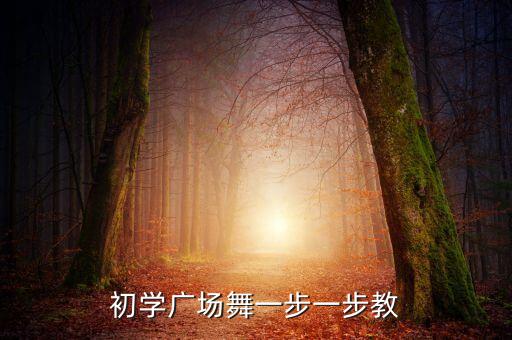 初学广场舞一步一步教