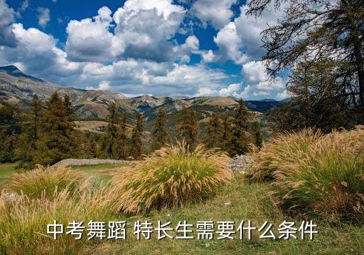 中考舞蹈 特长生需要什么条件
