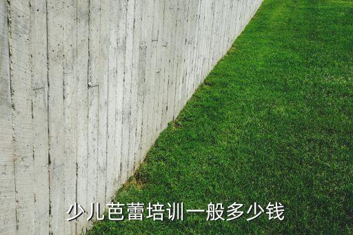 少儿芭蕾培训一般多少钱
