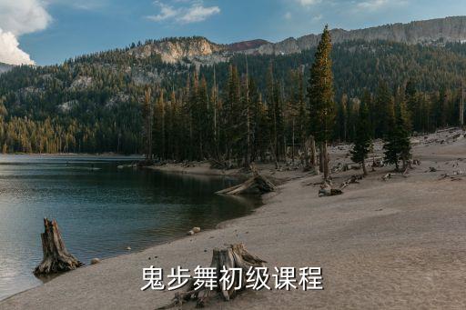 鬼步舞初级课程