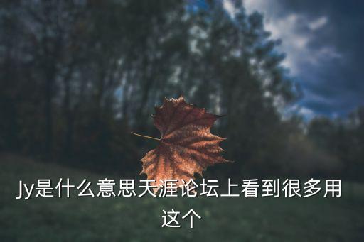 Jy是什么意思天涯论坛上看到很多用这个