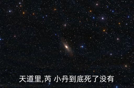 天道里,芮 小丹到底死了没有
