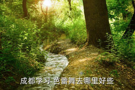 成都学习 芭蕾舞去哪里好些
