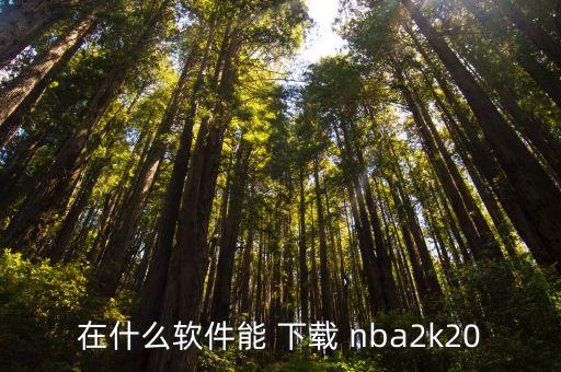 nba2k20手游下载