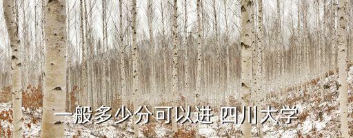 一般多少分可以进 四川大学