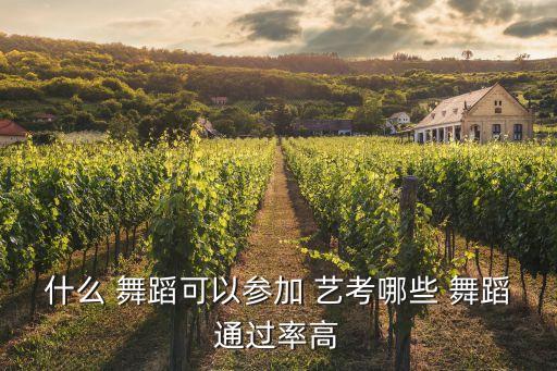 什么 舞蹈可以参加 艺考哪些 舞蹈通过率高