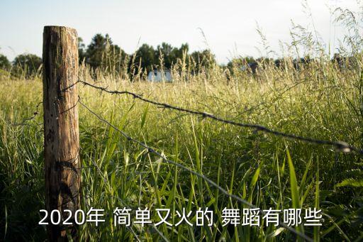2020年 简单又火的 舞蹈有哪些