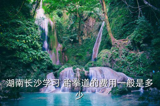 湖南长沙学习 跆拳道的费用一般是多少