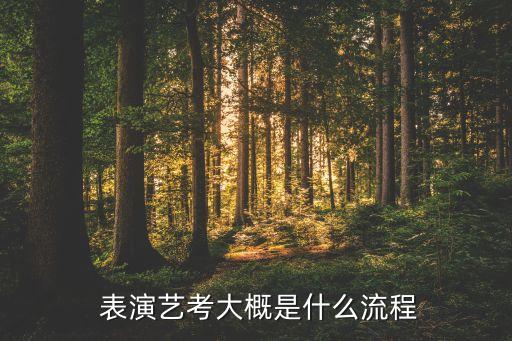  表演艺考大概是什么流程