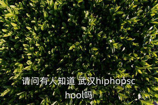 请问有人知道 武汉hiphopschool吗