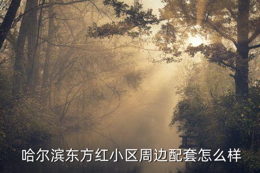 哈尔滨最好的舞蹈培训机构,怎么找哈尔滨舞蹈培训机构