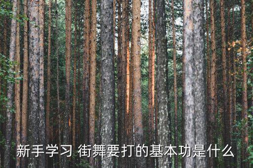 新手学习 街舞要打的基本功是什么