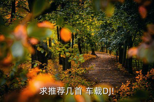 求推荐几首 车载DJ!