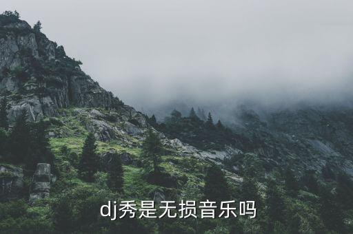 dj秀车载版免费下载,车载音乐dj歌曲大全免费下载mp4