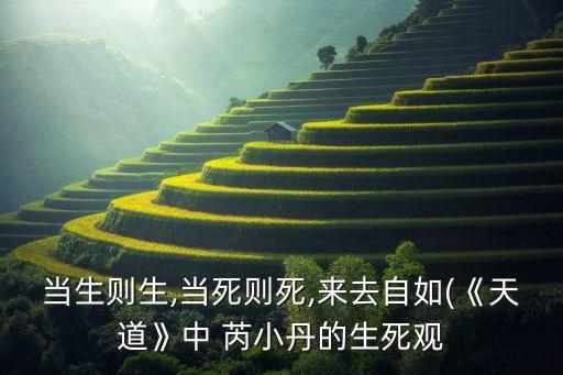 当生则生,当死则死,来去自如(《天道》中 芮小丹的生死观