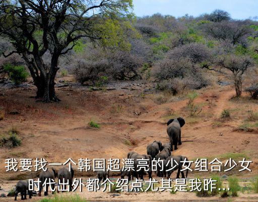 我要找一个韩国超漂亮的少女组合少女时代出外都介绍点尤其是我昨...