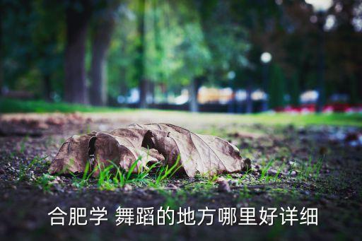  合肥学 舞蹈的地方哪里好详细