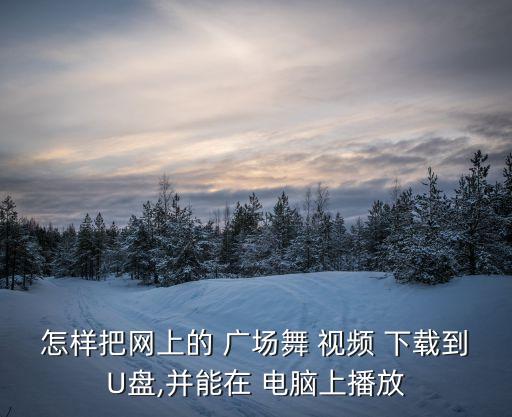 怎样把网上的 广场舞 视频 下载到U盘,并能在 电脑上播放