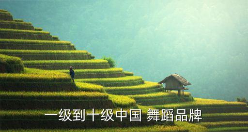 全国出名舞蹈机构有哪些,佛山比较出名的少儿舞蹈机构