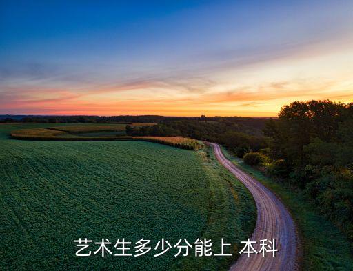 美术艺考过了文化考多少分上本科