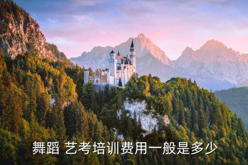  舞蹈 艺考培训费用一般是多少