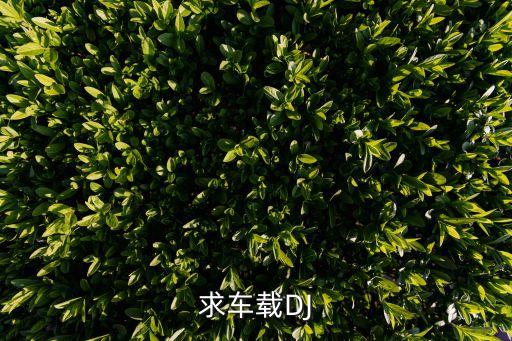 求车载DJ