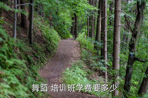 成人舞蹈班培训零基础多少钱北京,附近成人舞蹈班培训零基础
