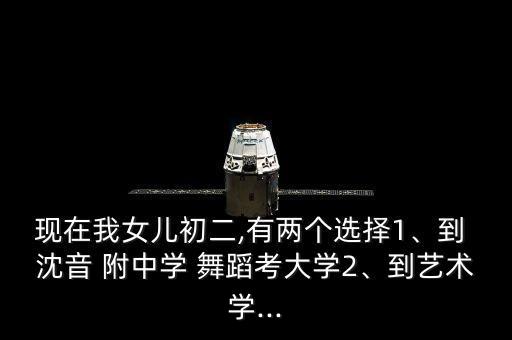 现在我女儿初二,有两个选择1、到 沈音 附中学 舞蹈考大学2、到艺术学...