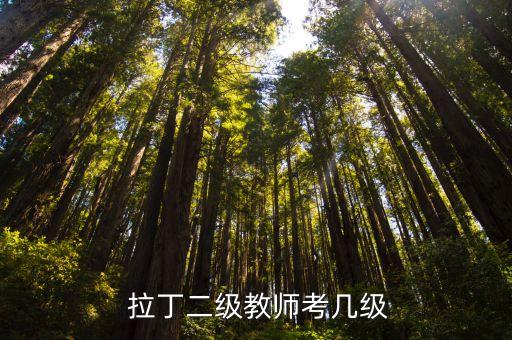 上海拉丁舞考级一共多少级,拉丁舞考级多少分通过