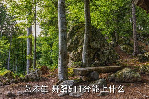 舞蹈生高考多少分可以上二本大学