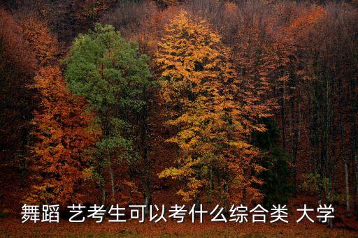 街舞艺考有哪些大学可以考