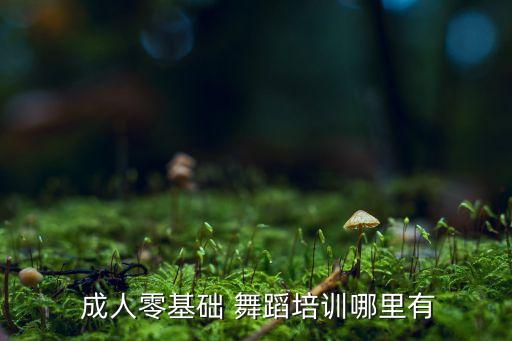  成人零基础 舞蹈培训哪里有