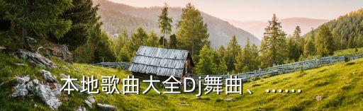 本地歌曲大全Dj舞曲、……