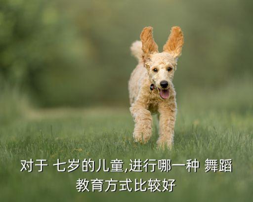 对于 七岁的儿童,进行哪一种 舞蹈教育方式比较好