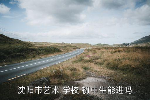 初中可以上艺术类学校么,郑州市初中艺术类学校有哪些