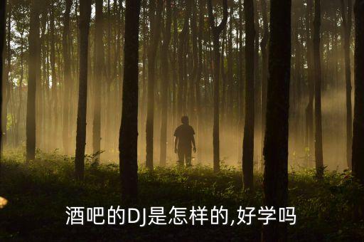 酒吧的DJ是怎样的,好学吗