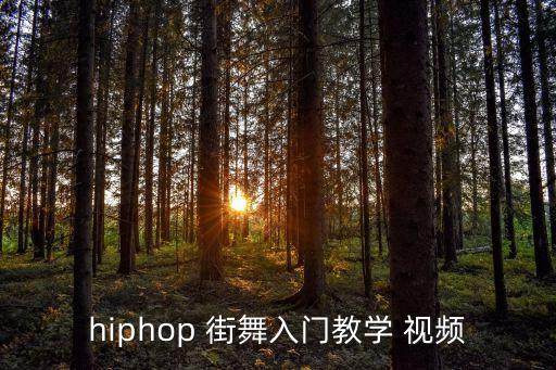 街舞视频大全男孩子版,小学生简单街舞教学视频大全