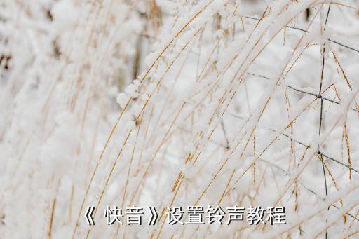 《 快音》设置铃声教程