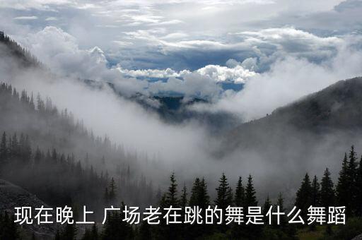 现在晚上 广场老在跳的舞是什么舞蹈