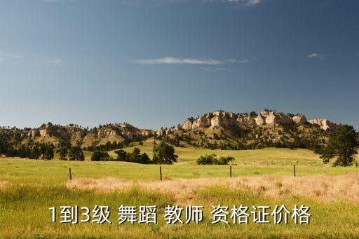 1到3级 舞蹈 教师 资格证价格