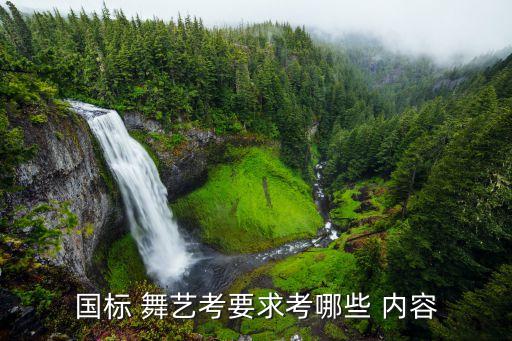 国标 舞艺考要求考哪些 内容