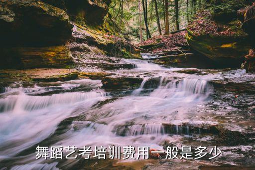  舞蹈艺考培训费用一般是多少