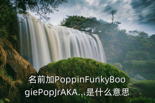 名前加PoppinFunkyBoogiePopJrAKA…是什么意思