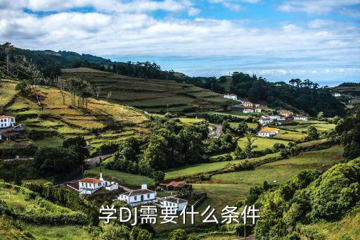 学DJ需要什么条件