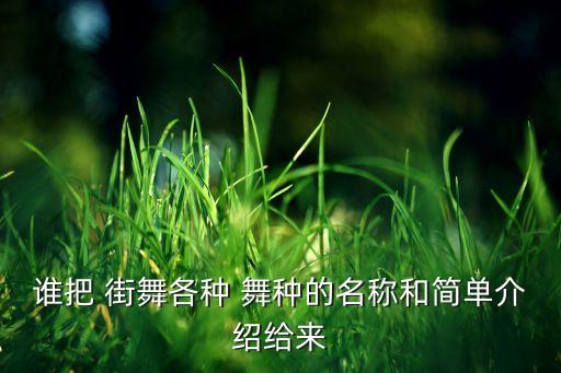 街舞所有舞种的英文缩写,体育舞蹈十个舞种英文缩写