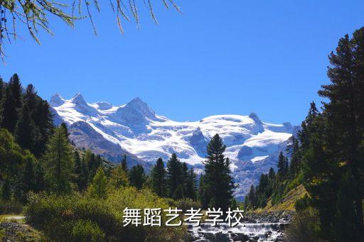 广东有舞蹈专业的大学吗,广东舞蹈艺考生能考的大学